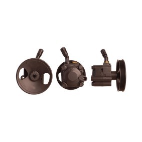 Servopumpe 15-0308 von ELSTOCK günstig für 321,43 € online kaufen