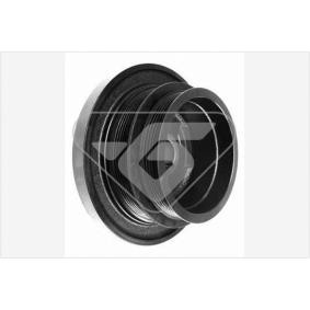 Riemenscheibe, Kurbelwelle DP056 von HUTCHINSON günstig für 391,88 € online kaufen