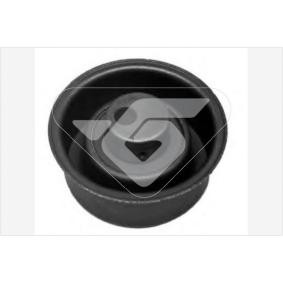 Spannrolle, Zahnriemen HTG 246 von HUTCHINSON günstig für 39,19 € online kaufen