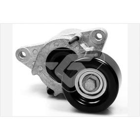 Spannrolle, Keilrippenriemen T0060 von HUTCHINSON günstig für 168,98 € online kaufen