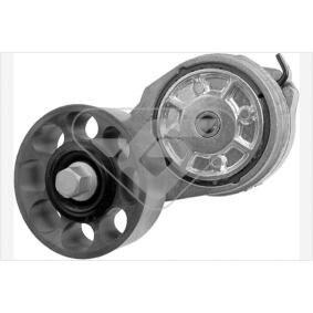 Achetez des Poulie, tendeur de courroie d'accessoire HUTCHINSON T0394 à prix pour 109,31 €