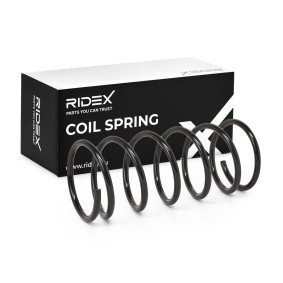 Compre Molas de RIDEX online para Xsara Van / Hatchback (N3_) a preços moderados