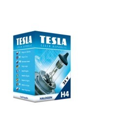 Acquista Lampadina, faro di profondità da TESLA B10402 a buon mercato per soli 4,05 €