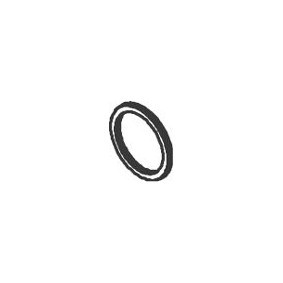 Dichtring, Abgasrohr 72804 von DINEX günstig für 10,16 € online kaufen