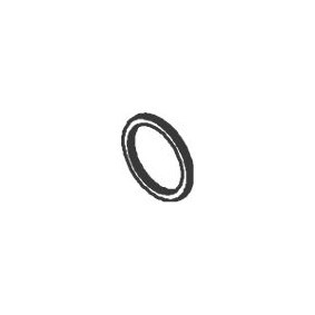 Dichtring, Abgasrohr 72805 von DINEX günstig für 10,42 € online kaufen