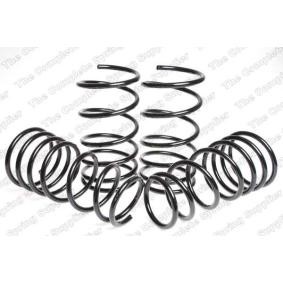 Fahrwerksatz, Federn 4592516 von LESJÖFORS günstig für 176,13 € online kaufen