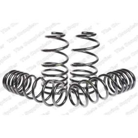 Fahrwerksatz, Federn 4582906 von LESJÖFORS günstig für 135,97 € online kaufen