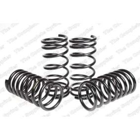 Fahrwerksatz, Federn 4527502 von LESJÖFORS günstig für 154,33 € online kaufen