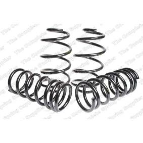 Fahrwerksatz, Federn 4595840 von LESJÖFORS günstig für 309,46 € online kaufen