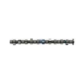 Nockenwelle 4.67319 von DT Spare Parts günstig für 451,34 € online kaufen