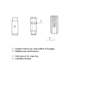 Compre Guia da válvula da METELLI 01-1369 a um preço baixo por 2,96 €