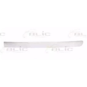 Compre Friso de para-choques da BLIC 6502-07-5501911P a um preço baixo por 54,53 €