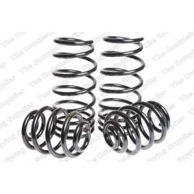 Fahrwerksatz, Federn 4572913 von LESJÖFORS günstig für 141,33 € online kaufen