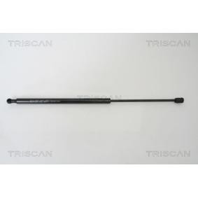Heckklappendämpfer 8710 43217 von TRISCAN günstig für 36,96 € online kaufen