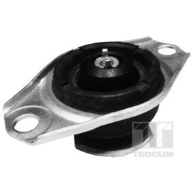 Motorlager 00025995 von TEDGUM günstig für 38,83 € online kaufen