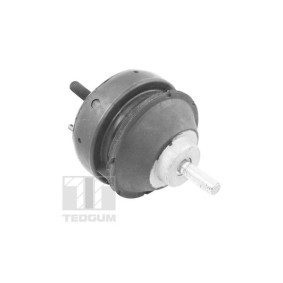 Achetez des Support moteur de chez TEDGUM en ligne pour Transit Mk4 Tourneo à prix modérés