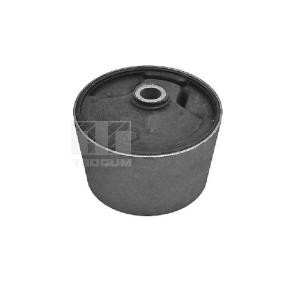 Acquista Supporto motore da TEDGUM 00237640 a buon mercato per soli 27,19 €