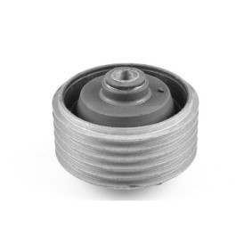 Acquista Supporto motore da TEDGUM online per XG III Sedan a prezzi moderati
