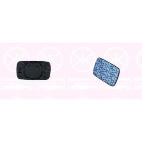 Spiegelglas, Außenspiegel 00601061 von KLOKKERHOLM günstig für 15,40 € online kaufen