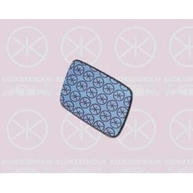 Spiegelglas, Außenspiegel 00601062 von KLOKKERHOLM günstig für 15,40 € online kaufen