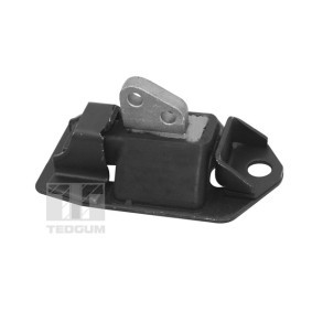 Motorlager 00748055 von TEDGUM günstig für 87,97 € online kaufen