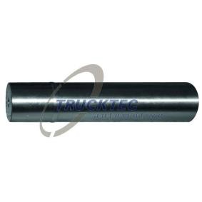Comprar Pivote del muñón del eje de TRUCKTEC AUTOMOTIVE 01.31.024 a bajo precio de 52,31 €