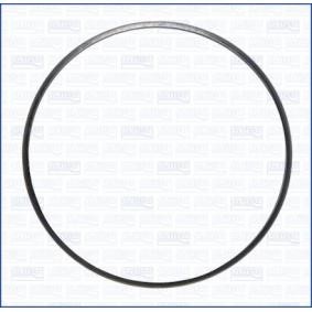 Acquista Guarnizione, Tubo gas scarico da AJUSA 01396100 a buon mercato per soli 28,04 €