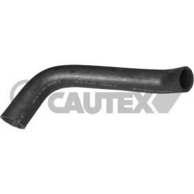Comprar Tubería de radiador de CAUTEX 016022 a bajo precio de 26,01 €
