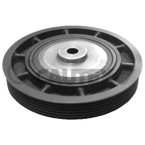 Achetez des Poulie damper (vilebrequin) CAUTEX 020939 à prix pour 131,90 €