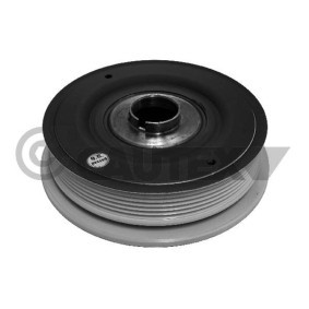 Achetez des Poulie damper (vilebrequin) CAUTEX 021153 à prix pour 173,92 €