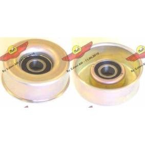 Achetez des Poulie renvoi / transmission, courroie trapézoïdale à nervures de chez AUTOKIT en ligne pour X-TRAIL (T30) à prix modérés