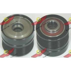 Compre Roda livre do alternador da AUTOKIT 03.81263 a um preço baixo por 158,05 €