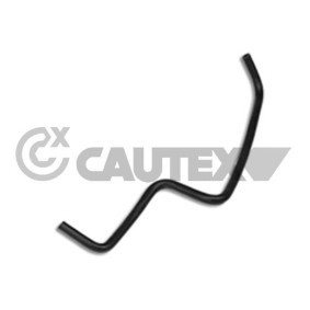 Kühlerschlauch 036467 von CAUTEX günstig für 13,42 € online kaufen