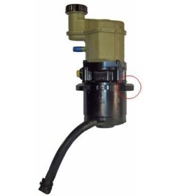Comprar Bomba de dirección de LIZARTE 04.11.0256-1 a bajo precio de 233,67 €