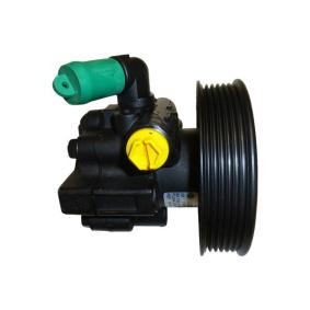 Acquista Pompa idraulica, sterzo da LIZARTE 04.76.0645-2 a buon mercato per soli 240,84 €