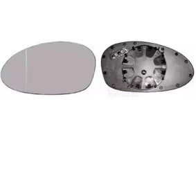 Spiegelglas, Außenspiegel 0657835 von VAN WEZEL günstig für 20,28 € online kaufen