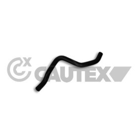 Compre Manguito de radiador de CAUTEX online para SUNNY I (B11) a precios moderados