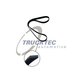 Keilrippenriemen 07.19.273 von TRUCKTEC AUTOMOTIVE günstig für 38,00 € online kaufen