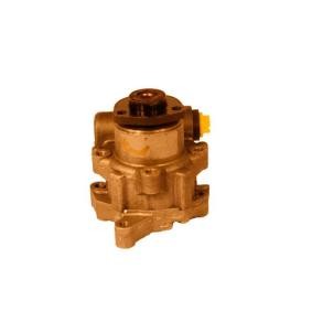 Compre Bomba de direção da SERCORE 07B1021 a um preço baixo por 154,34 €