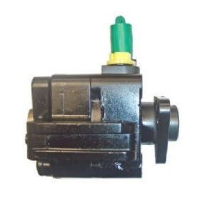 Compre Bomba de dirección de SERCORE online para Z4 Roadster (E85) a precios moderados