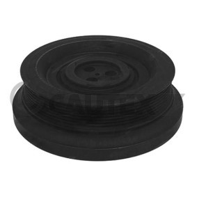 Compre Polia, cambota da CAUTEX 080977 a um preço baixo por 225,53 €