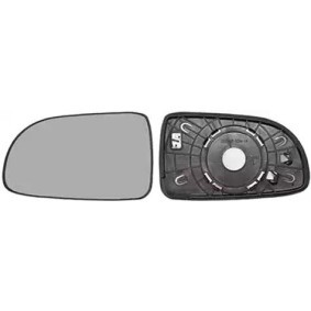 Spiegelglas, Außenspiegel 0815837 von VAN WEZEL günstig für 23,87 € online kaufen