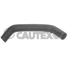 Kühlerschlauch 086032 von CAUTEX günstig für 19,04 € online kaufen