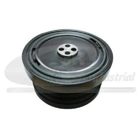 Compre Polia, cambota da 3RG 10103 a um preço baixo por 155,80 €