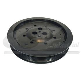 Comprar Polea de cigüeñal de 3RG 10307 a bajo precio de 77,78 €