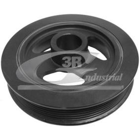 Comprar Polea de cigüeñal de 3RG 10311 a bajo precio de 54,17 €