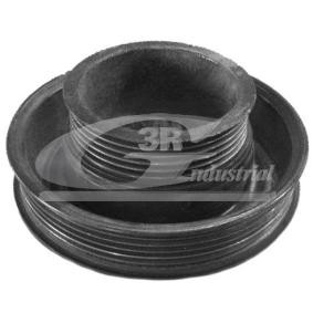 Comprar Polea de cigüeñal de 3RG 10314 a bajo precio de 43,23 €