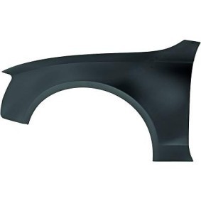 Comprar Guardabarros de DIEDERICHS 1045007 a bajo precio de 272,56 €