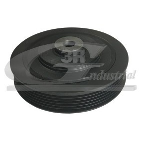 Compre Polia, cambota da 3RG 10613 a um preço baixo por 30,26 €