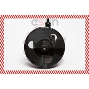 Compre Bomba de direção da ESEN SKV 10SKV010 a um preço baixo por 199,41 €